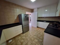 The Cairnhill (D9), Condominium #616607951